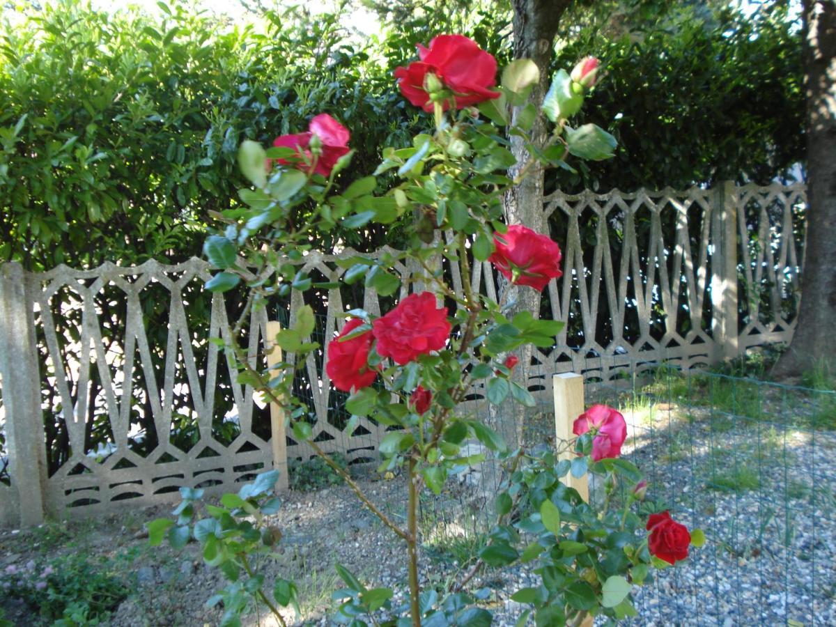 Casa T Bed And Breakfast & Home Restaurant Di Tacchino Simone Tagliolo Monferrato Exterior photo